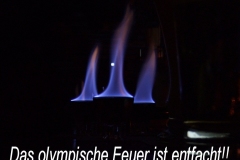 SCHHSaalb439g