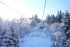 2010 Oberndorf