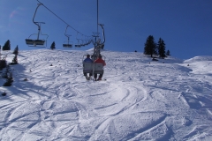DSCI0035g