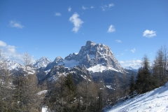 IMG_3431g