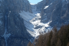 P1000678g