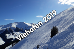 2019 Viehhofen