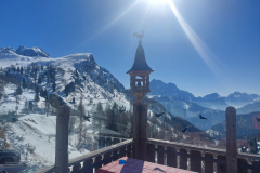 20250218_120529-Kopie